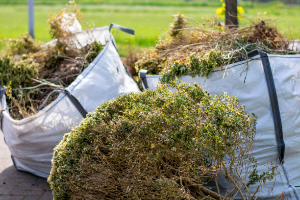 Professional Junk Removal in Spring Grove, IL