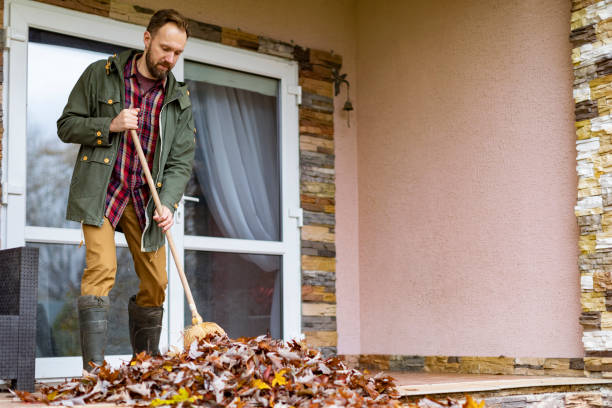 Best Attic Cleanout Services  in Spring Grove, IL