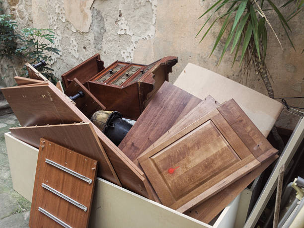 Best Electronics Removal Services  in Spring Grove, IL